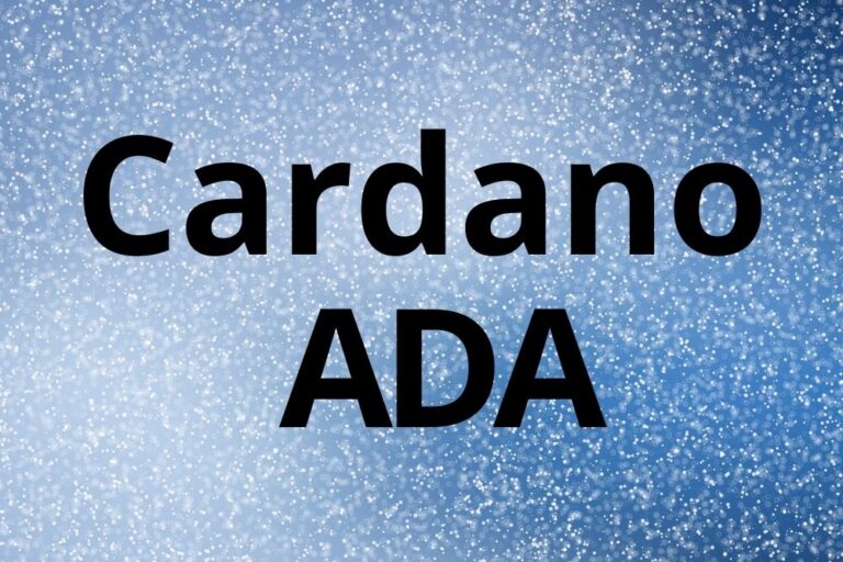 Cardano foundation что это